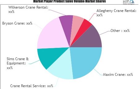 Small Crane Rental Service Market