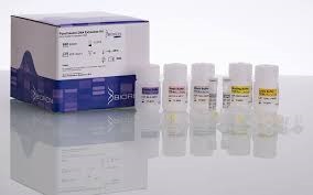 DNA Extraction Kits Market