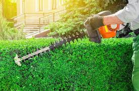 Hedge Trimming Services Market