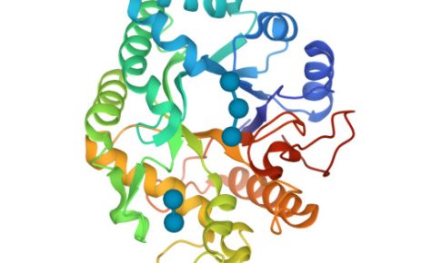 Laminaribiose Market