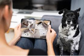 Pet Health Monitoring System Market