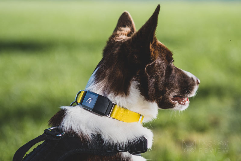 Smart Pet Collar Market