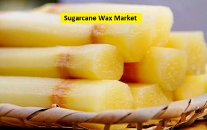 Sugarcane Wax Market