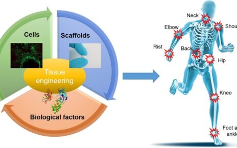 Tissue Engineering Market