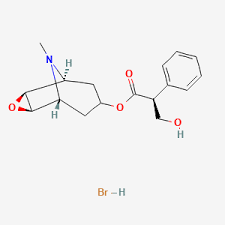 Scopolamine Market