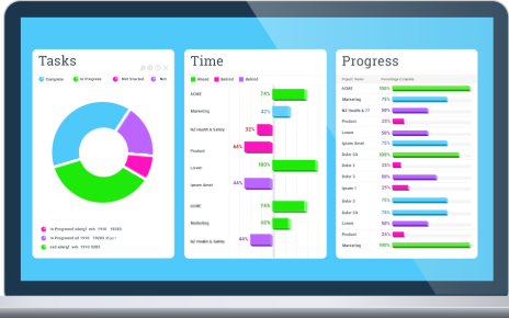 Project Tracking Software Market