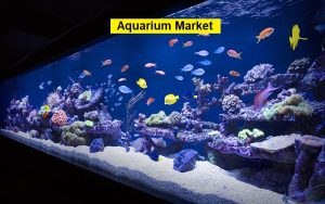 Aquarium Market