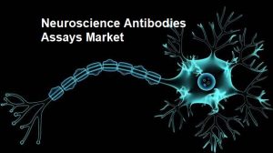 Neuroscience Antibodies Assays Market